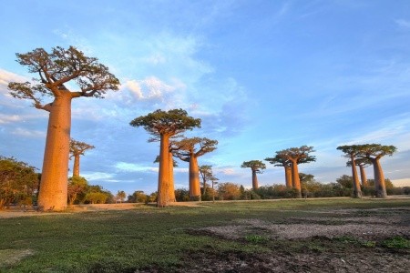 Madagaskar: Od lemurů k plážím Indického oceánu - 6