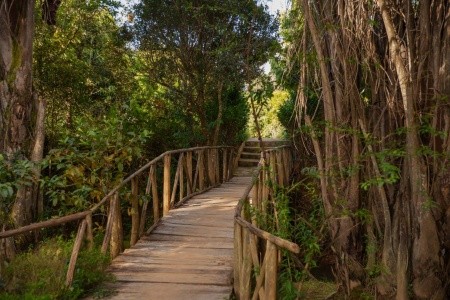Madagaskar: Od lemurů k plážím Indického oceánu - 10
