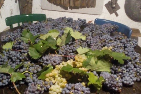 Apartmány 3298-858 - 6