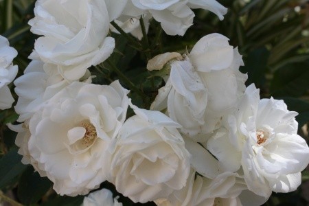 Apartmány 3298-5136 - 89