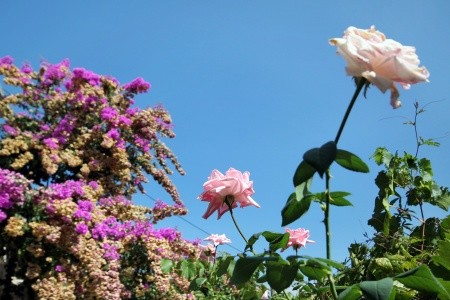 Apartmány 3298-1162 - 8