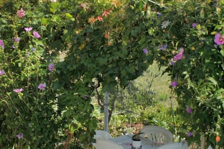 Apartmány 3298-1162 - 36