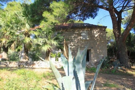 Apartmány 3298-1919 - 30