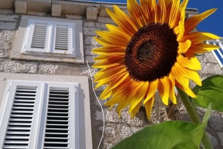 Apartmány 3298-2850 - 25