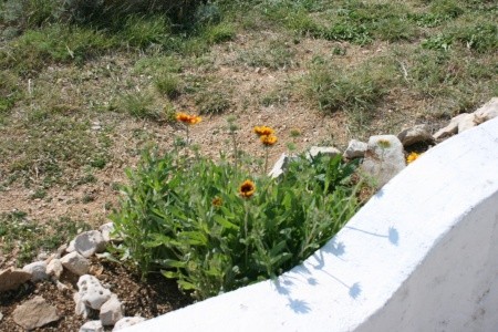 Apartmány 3298-1403 - 11