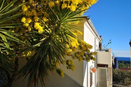 Apartmány 3298-2028 - 39