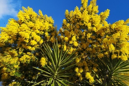 Apartmány 3298-2028 - 43