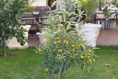 Apartmány 3298-1652 - 26