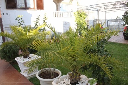 Apartmány 3298-1652 - 16