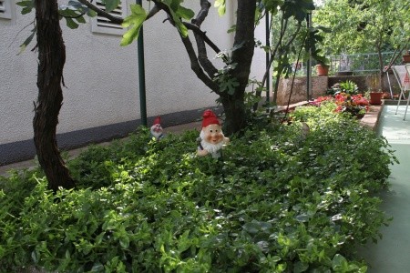 Apartmány 3298-1445 - 28