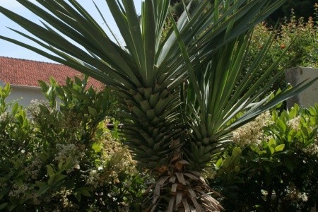 Apartmány 3298-828 - 84