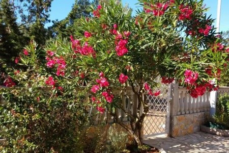 Apartmány 3298-7158 - 6