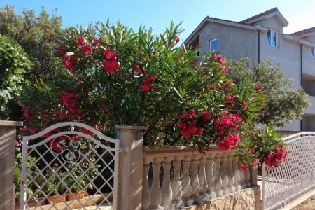 Apartmány 3298-7158 - 8