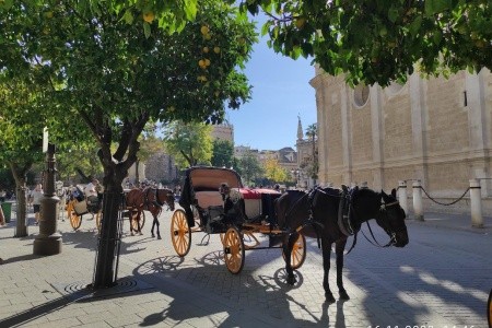 Slunná Andalusie - Sevilla, Mérida a Cádiz - 2