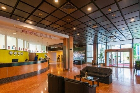Wellnesshotel Radin - 17