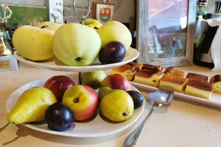 Hotelpension Oberauer Wagrain