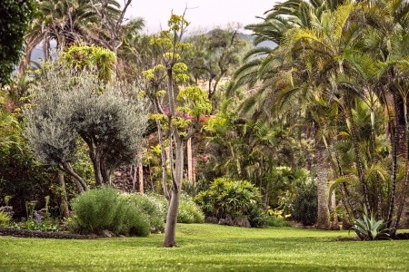 Precise Resort Tenerife (Ex. Maritim) - 5