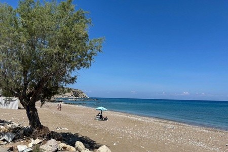Studia Georges - 12