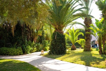 Eden Yasmine Resort & Spa - 36