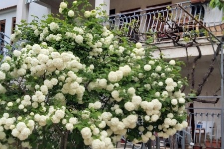 Apartmány 3298-3834 - 33