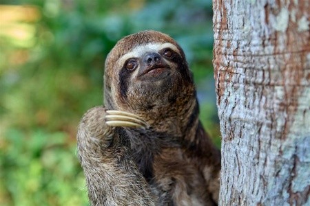 Úchvatné Peru: Od Posvätných Hôr K Amazonskému Pralesu - 21