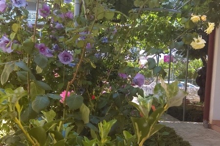 Apartmány 3298-5270 - 4