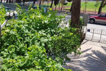 Apartmány 3298-3190 - 11