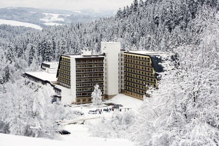 Sorea Ľubovňa