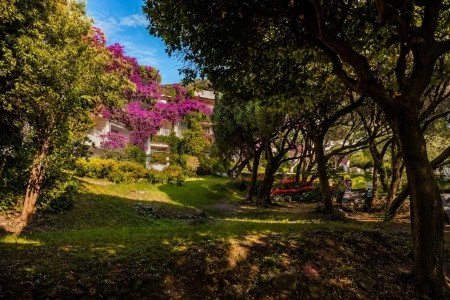 Pietracap (Bastia) - 13
