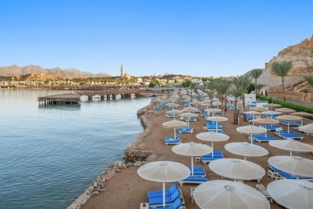 Albatros Sharm Resort (Ex. Beach Albatros) - 95