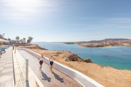 Albatros Sharm Resort (Ex. Beach Albatros) - 98