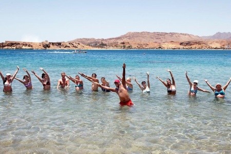 Albatros Sharm Resort (Ex. Beach Albatros) - 106