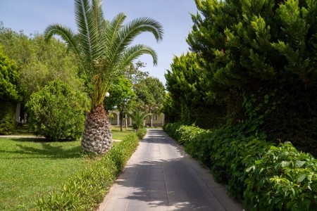 Anadolu Hotels Didim Club (Ex. Palm Wings Beach Resort) - 56