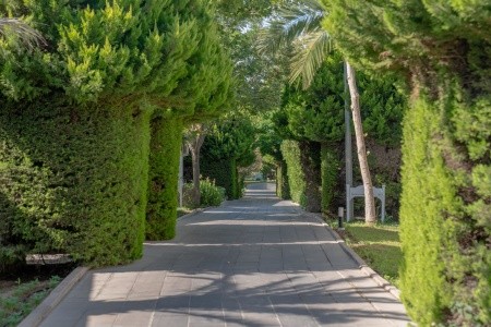 Anadolu Hotels Didim Club (Ex. Palm Wings Beach Resort) - 60