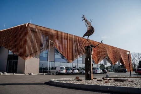 Narcisa (Banovci) - 6