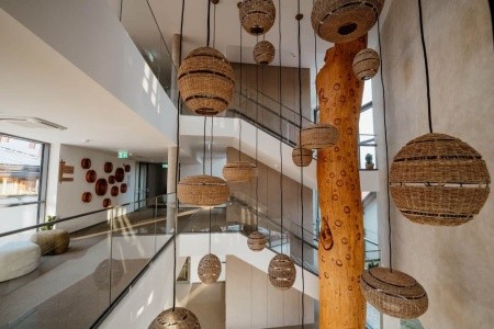 Narcisa (Banovci) - 10