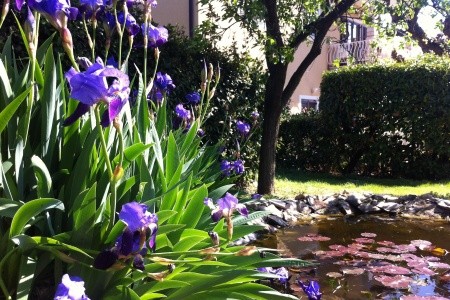 Apartmány 3298-1572 - 52