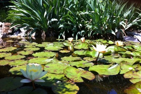 Apartmány 3298-1572 - 53