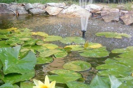 Apartmány 3298-1572 - 54