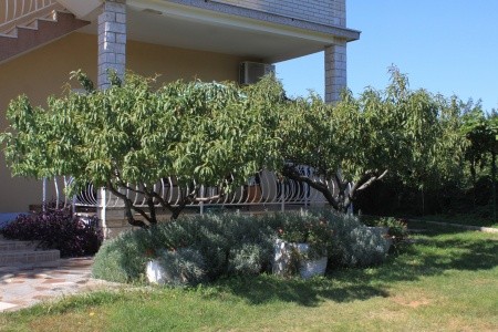 Apartmány 3298-1572 - 56