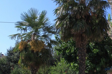 Apartmány 3298-1572 - 57