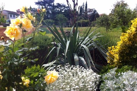 Apartmány 3298-1572 - 59