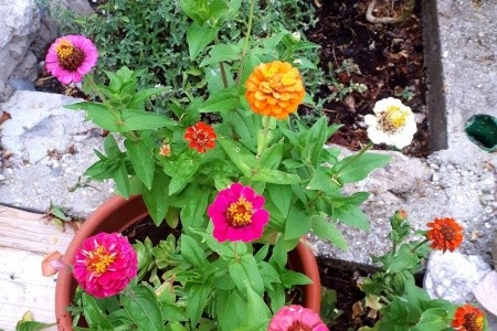 Apartmány 3298-6139 - 4