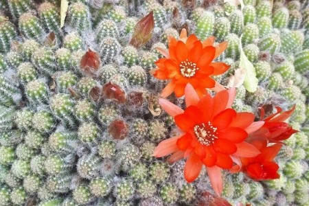 Apartmány 3298-6139 - 5