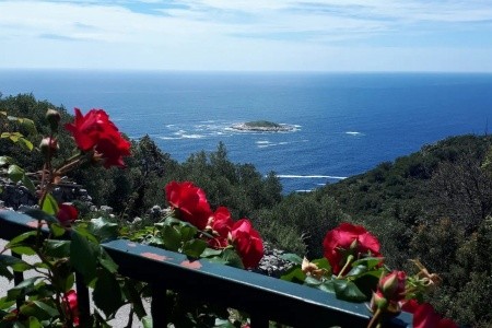 Apartmány 3298-6139 - 8