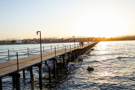 Mg Alexander The Great - 40