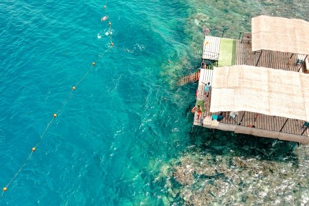 Mg Alexander The Great - 54