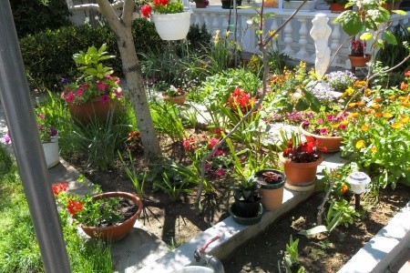 Apartmány 3298-5262 - 24