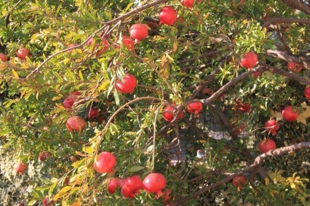 Apartmány 3298-378 - 6