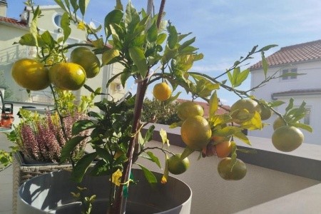 Apartmány 3298-7086 - 15